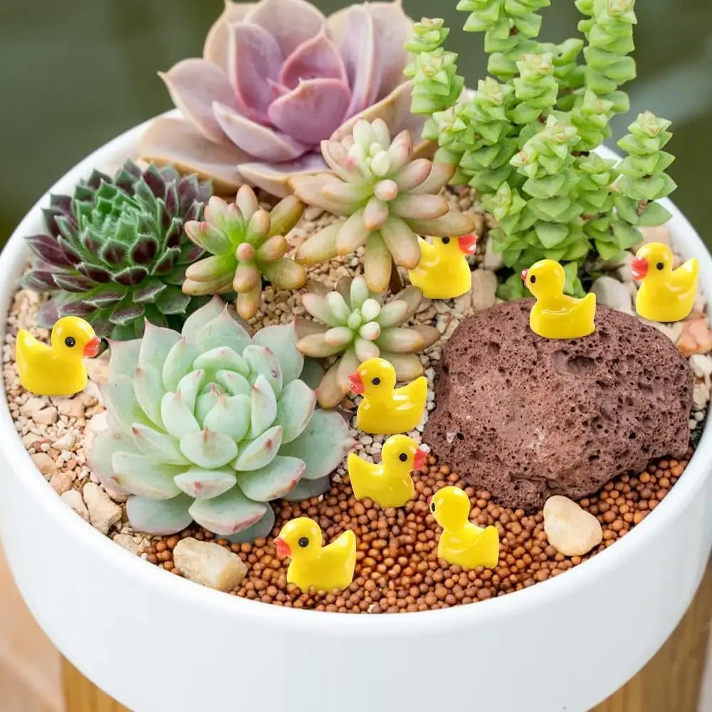 Mini Resin Ducks Set