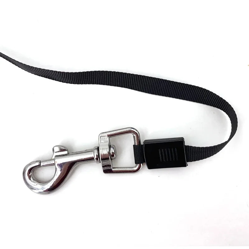 Retractable Pet Leash – 3M/5M Flexible Walking Lead for Small & Medium Dogs
