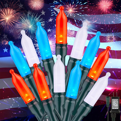 Clear Christmas String Lights 100 Count 25 Feet Incandescent Bulb Mini Lights for Indoor Xmas Tree Garland Birthday Wedding Party Festival Decoration, Green Wire