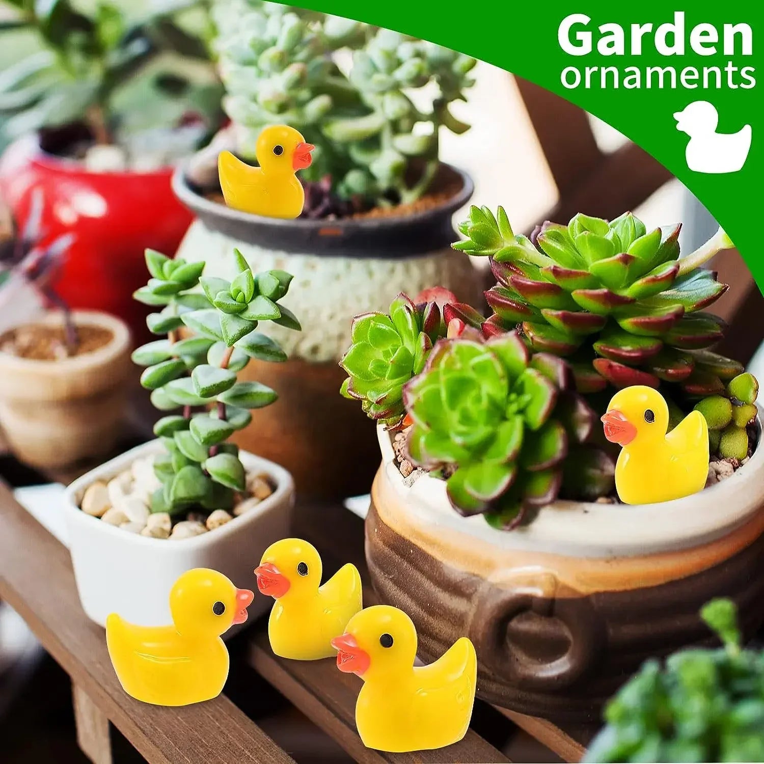 Mini Resin Ducks Set